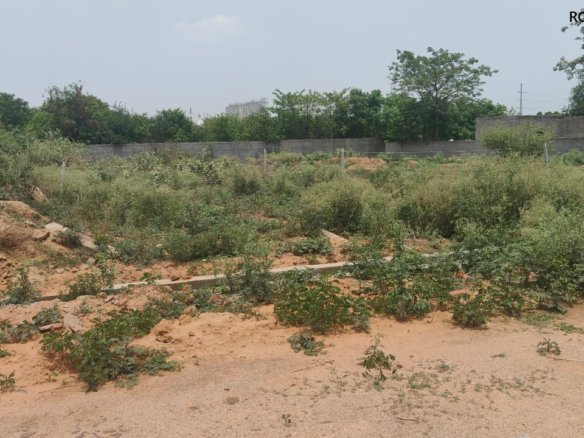 Corner 6% Kisan Quota Plot for Sale – Zeta-1, N Block, Greater Noida
